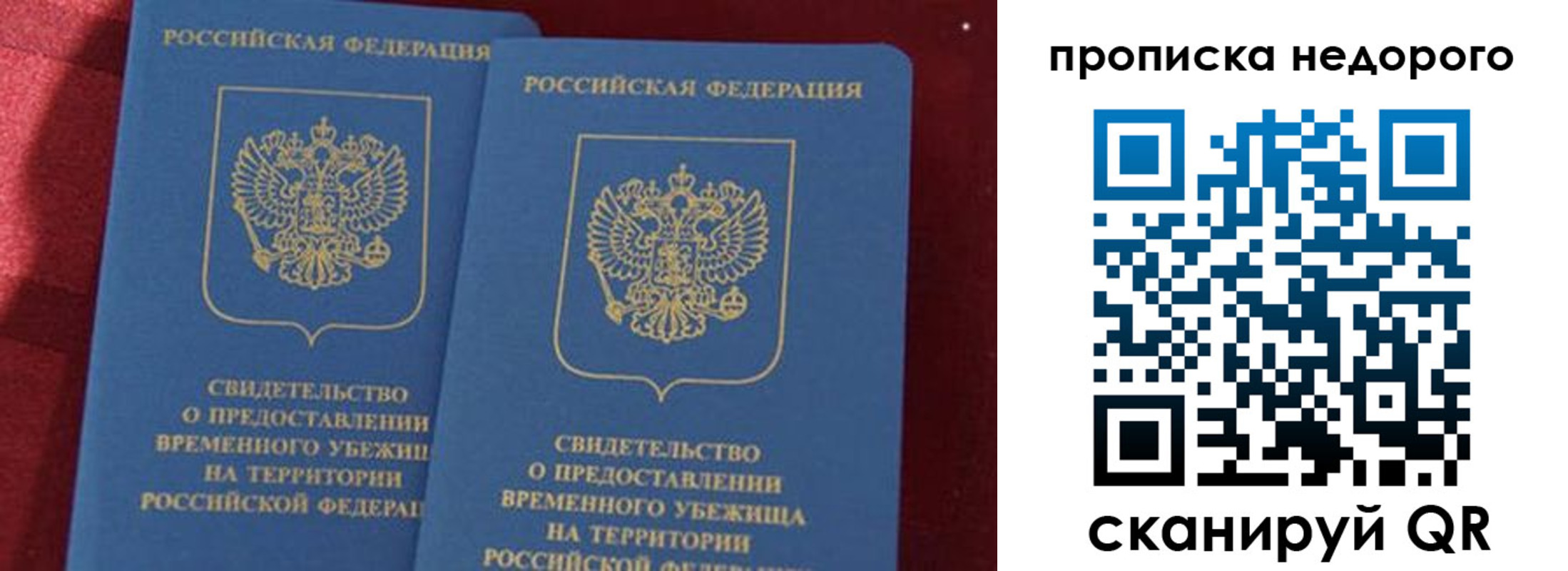 прописка гарантия в Озёрске